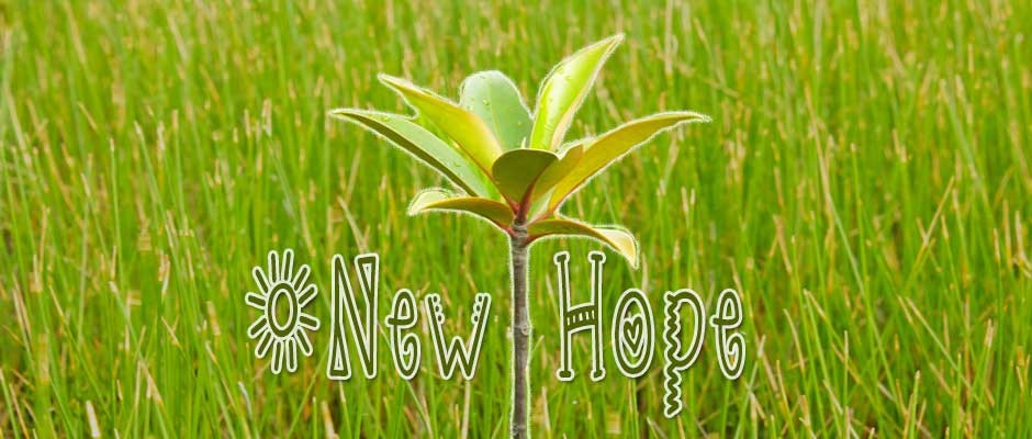 new_hope_mangroves