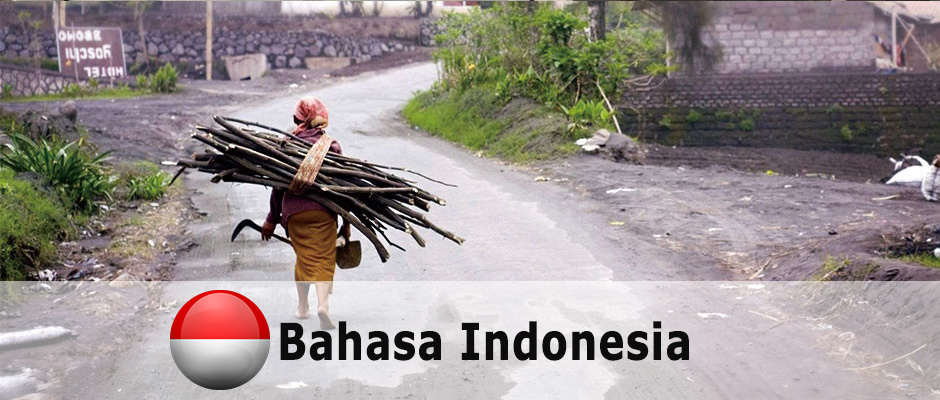 Indonesian_inequality_ba