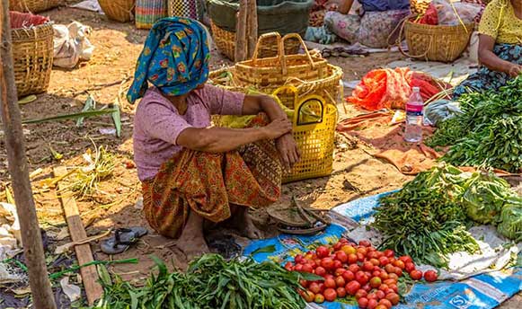 Memprioritaskan Reformasi Pertanian di Myanmar Kyoto 