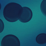 blue_blood_header