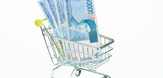 Indonesian rupiah in shopping cart