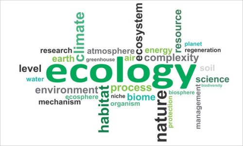 word-cloud-ecology